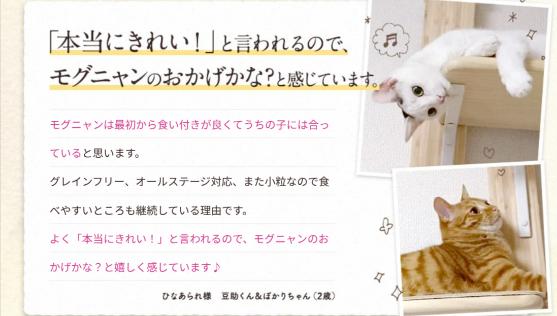 モグニャン｜愛猫が喜ぶ香りと味わいを追求したグレインフリーキャットフード-03-22-2026_12_11_PM (1)