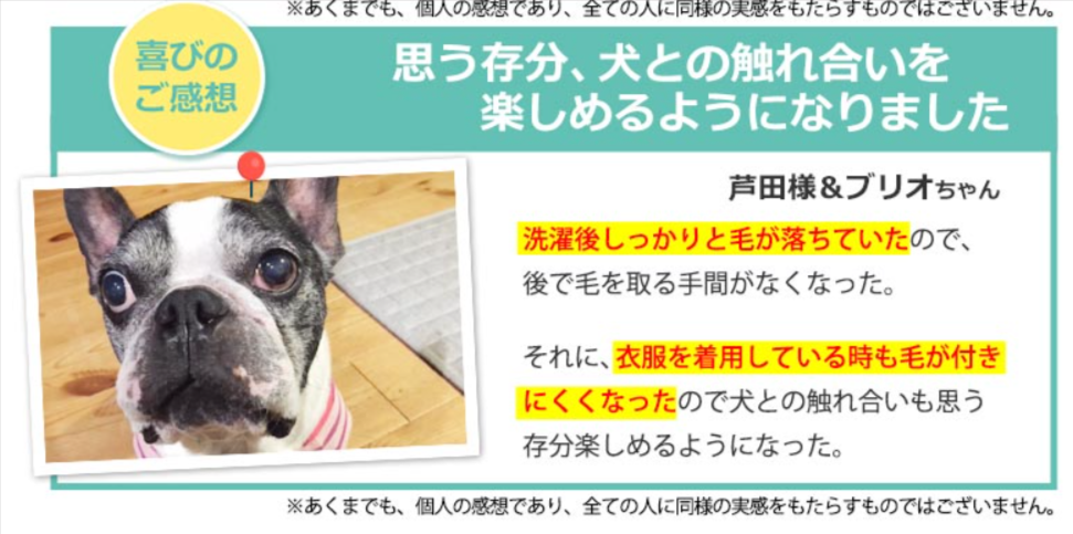 公式】『リモサボン』ペットの抜け毛が付着しにくくなる洗剤-03-20-2026_04_50_PM (1)